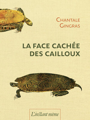 cover image of La face cachée des cailloux